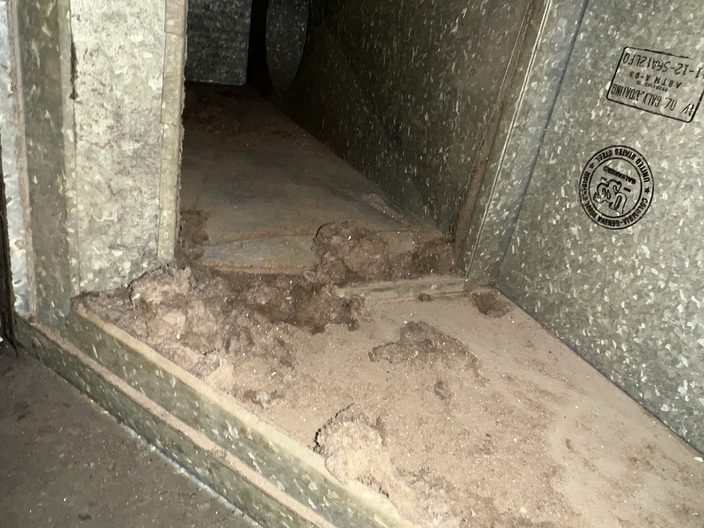 Dirt and debris extracted from air ducts during cleaning in Oakland, CA Dirt and debris extracted from air ducts during cleaning in Oakland, CA